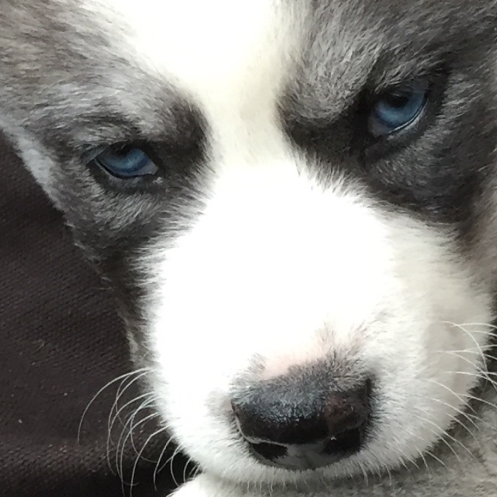 Meet your Posher, Tonya